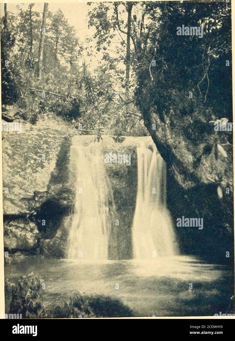 . In Cloudland, Mayview Park, Blowing Rock, North Carolina. ted into