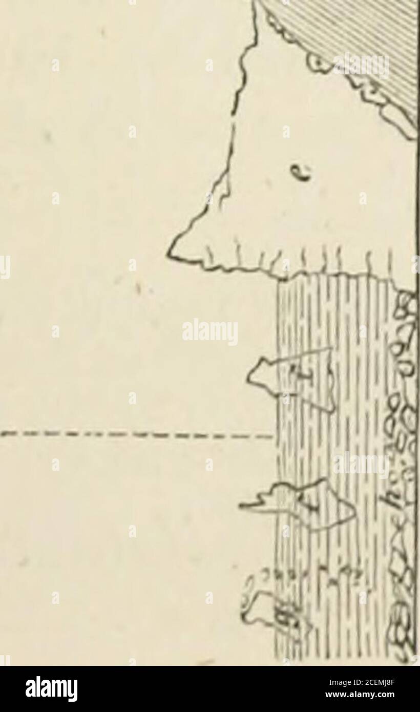 . Arctic geography and ethnology. A selection of papers on Arctic ...