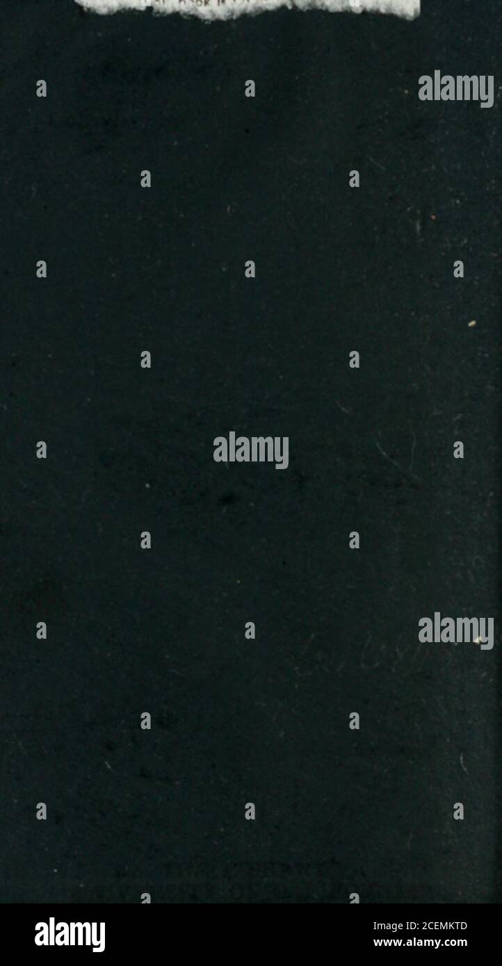 Blame Yourself High Resolution Stock Photography And Images Alamy Blame Yourself High Resolution Stock Photography And Images Alamy