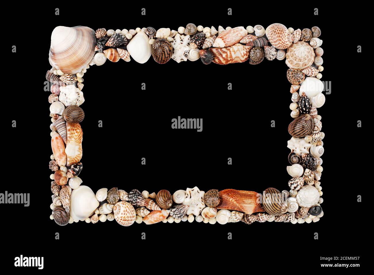 Seashells pattern empty frame on black background isolated close up, blank sea shells border, summer beach holidays concept, tropical island vacation Stock Photo