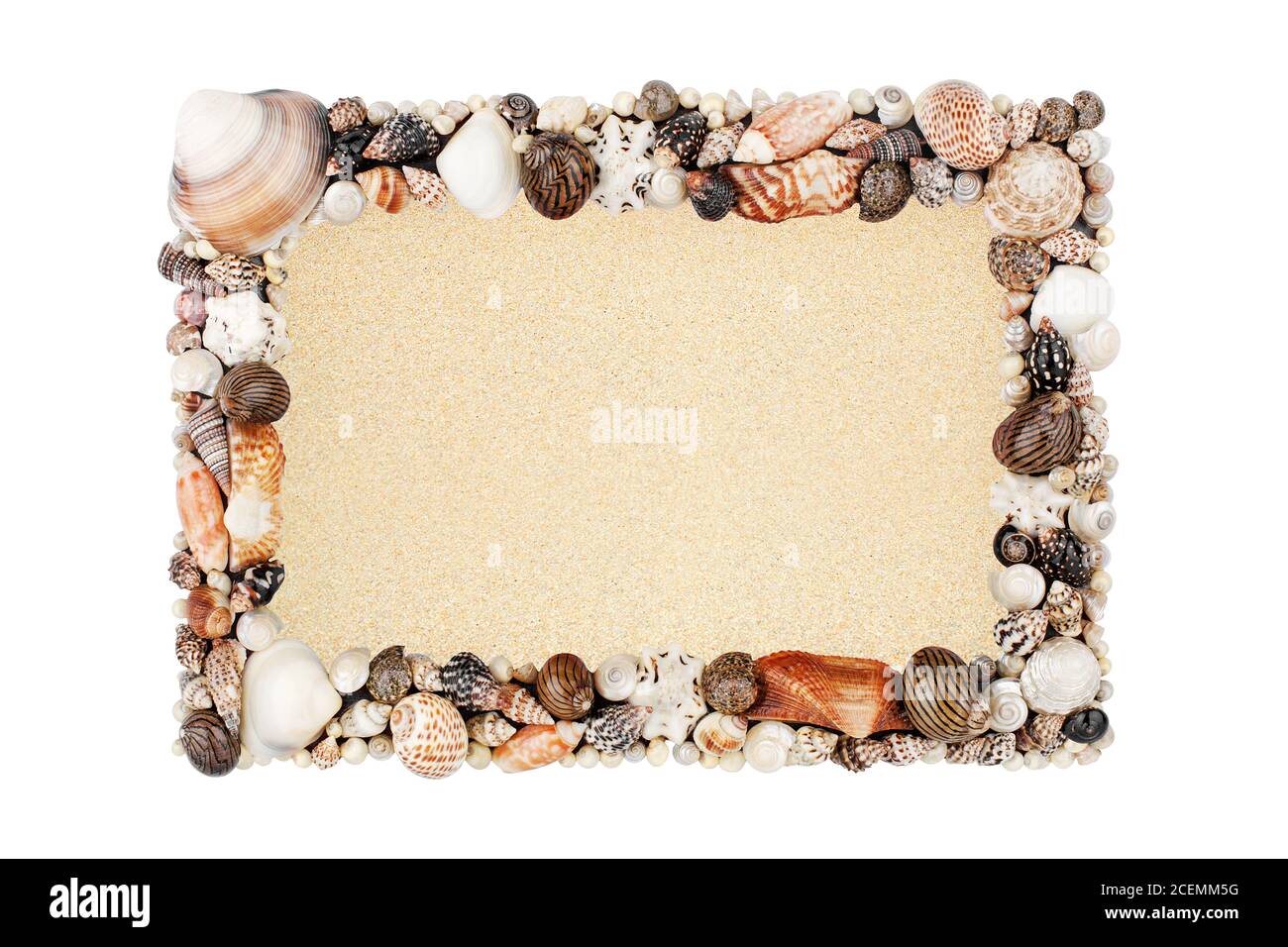 Seashells, golden sand empty frame white background isolated closeup top view, blank sea shells border, summer sandy beach holiday, tropical island Stock Photo