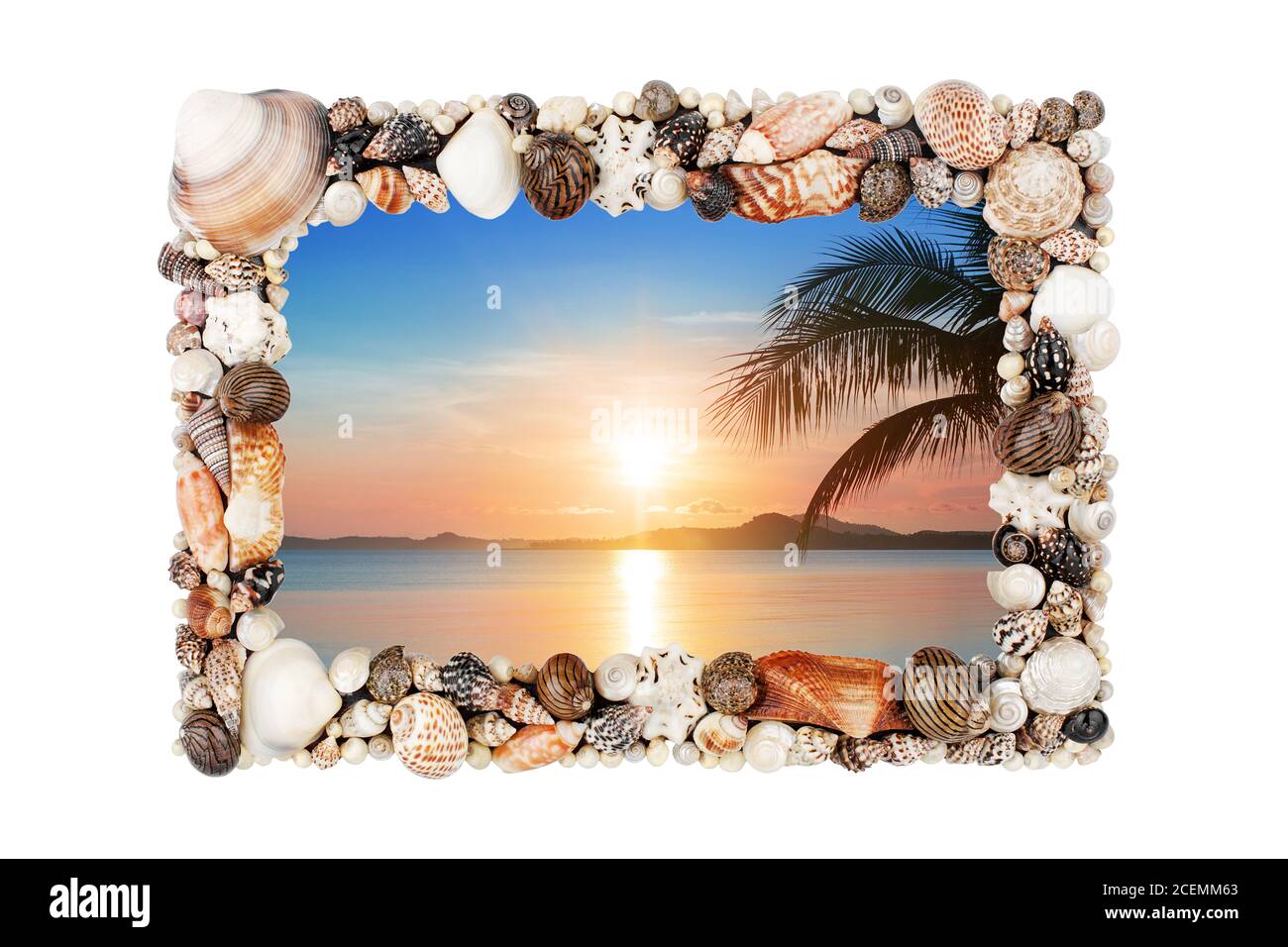 Seashells photo frame white background isolated close up, sea shells  picture border, sunset beach, summer holiday, tropical island vacation,  palm Stock Photo - Alamy