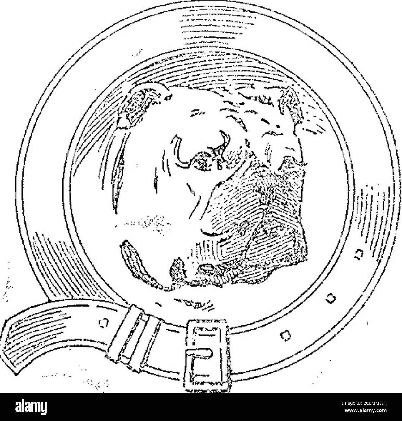 . Boletín Oficial de la República Argentina. 1914 1ra sección. tículos de brome, elec-tro- plata y metales no preciosos, bron-ces y mármoles de arte, artículos defantasía, joyeríi f.dsa, juguetería, artícu-los de depone, juegos, ndpes, orna-mentos de igiesa, objetos de arie pjn*tados, esculpidos, grabados, biografia-dos y similares, de la clase 9. v-24 enero„ Acta N° 44.090 . Enero 14 de 1914. — Freixas, Ur-quijo y Cía. — Yerba mate y aceitescomestibles, de la clase 22. v-24 enero. Acta No 44.031 cíe rvo Jencro 14 de 1914. — Recondo yCía. — Substancias alimenticias O em-pleadas como ingredient Stock Photo