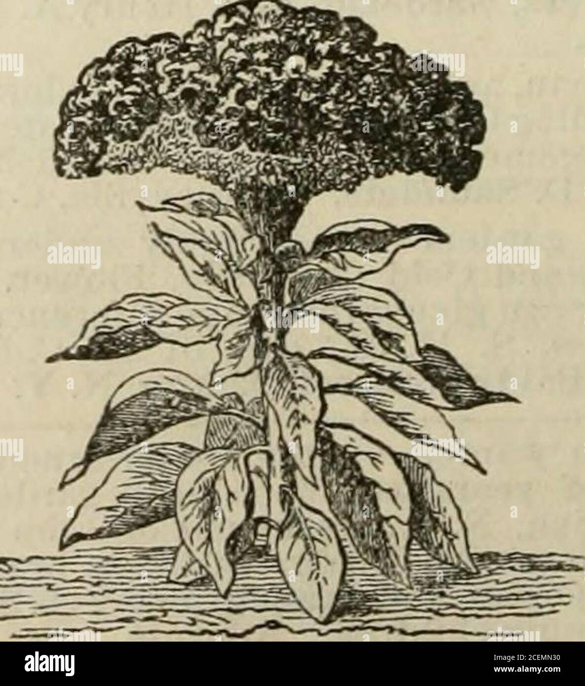 Page 10 X Ea High Resolution Stock Photography And Images Alamy