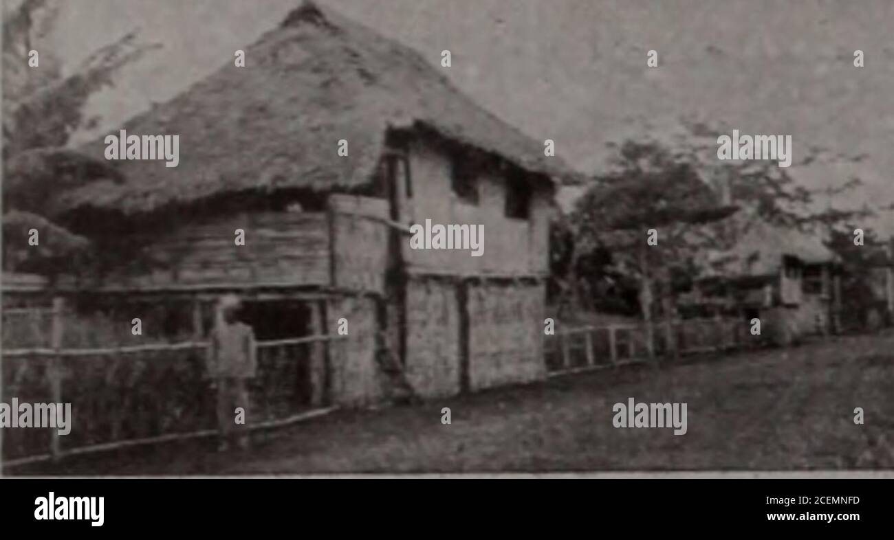 Christian Herald 1 11 Rimg An Old Style Filipino House You Ask Me To Give In One Sentencethe Key To The Situation In Thephilippines The Moros Are Theonly Mohammedans Under Theamerican