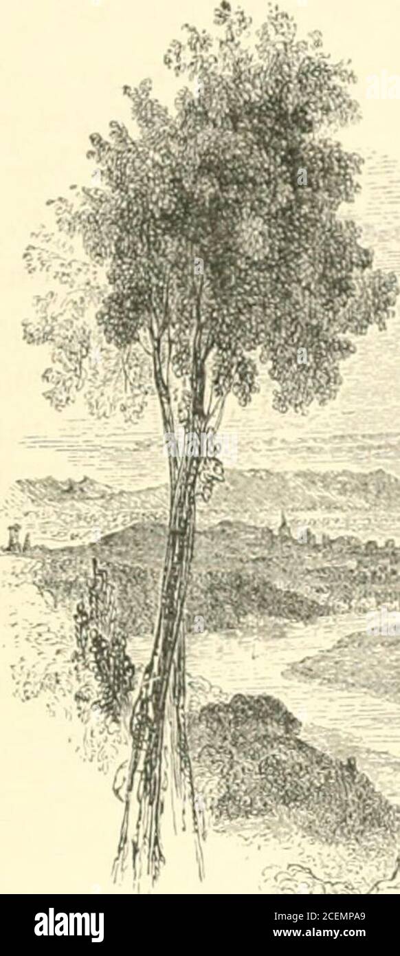 The earl of gowrie hires stock photography and images Alamy