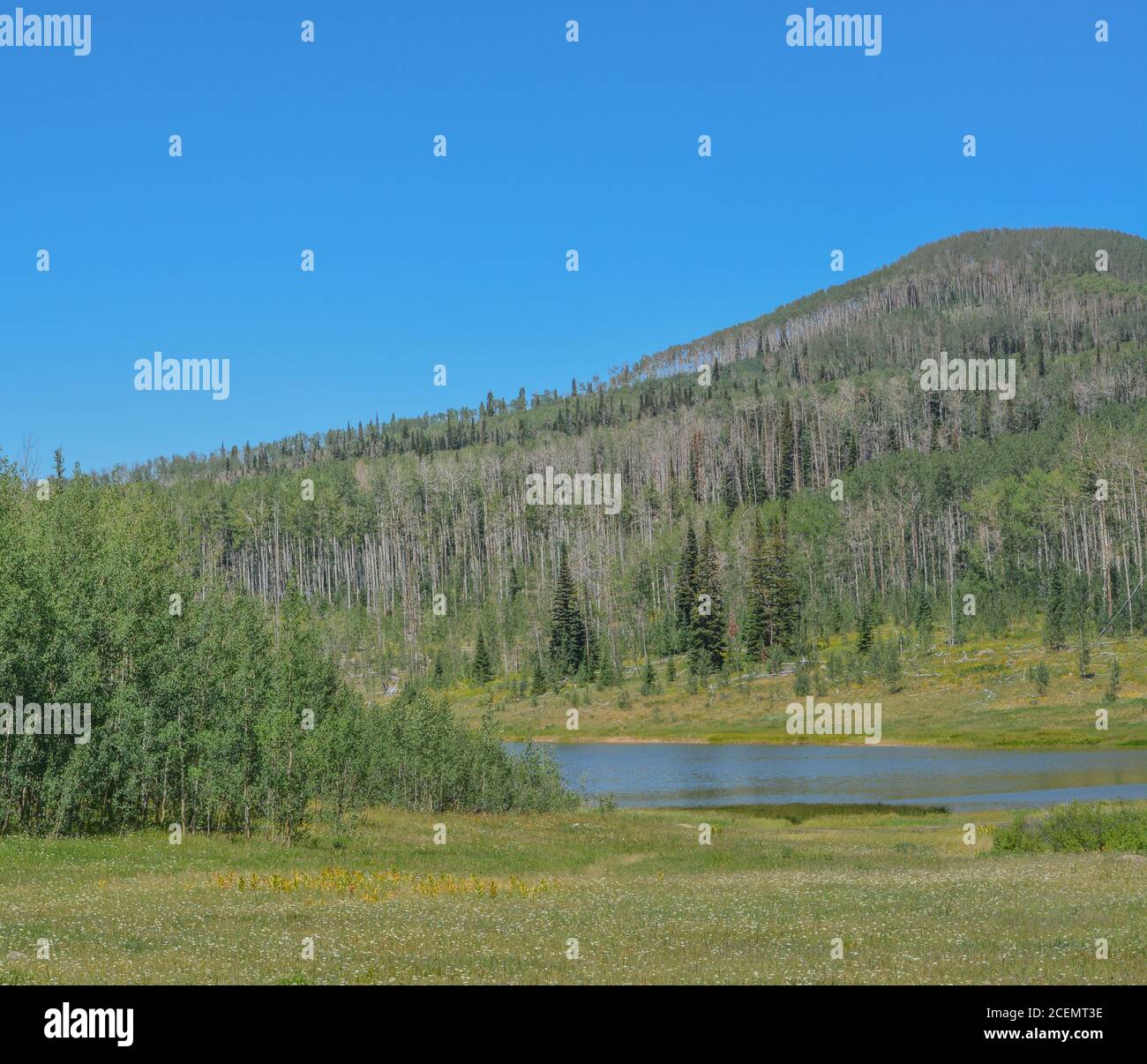 The peaceful Freeman Reservoir below the mountainside of the Routt