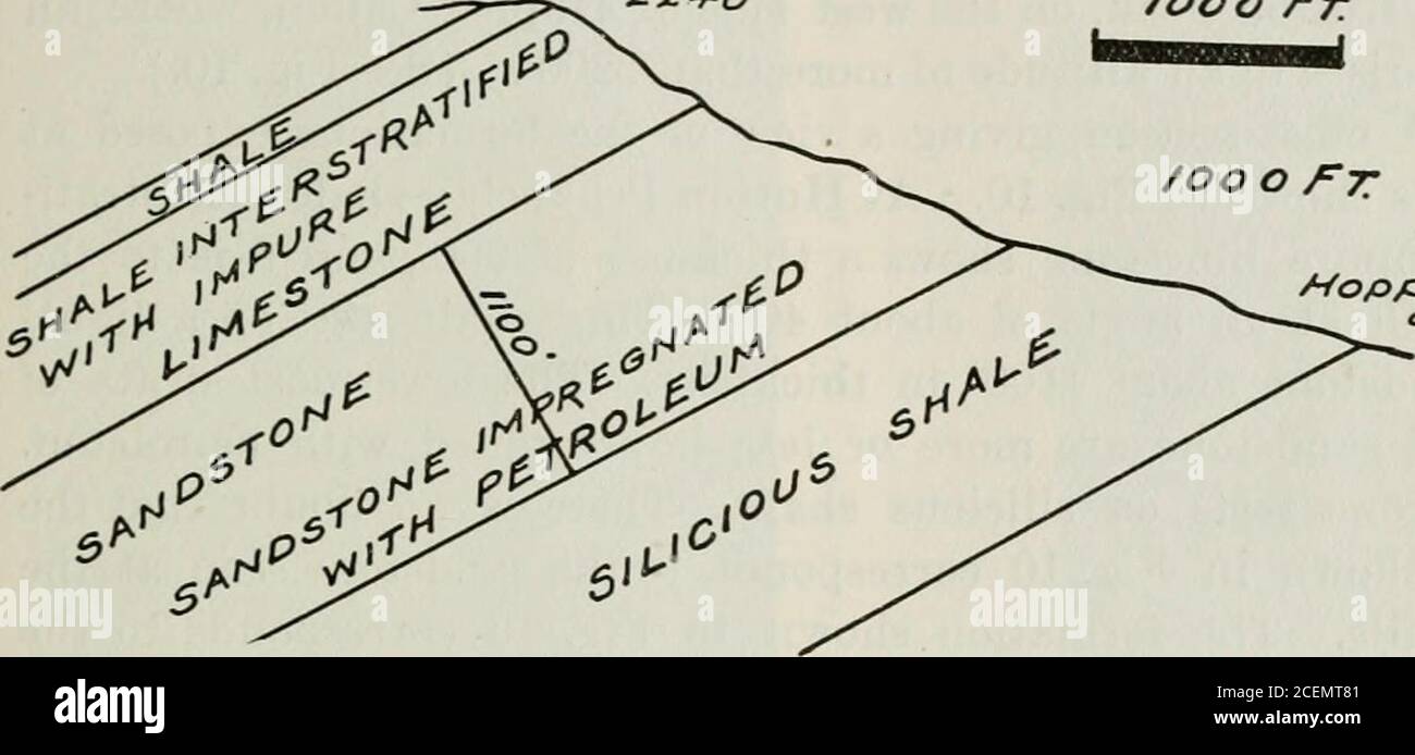 Oil And Gas Yielding Formations Of California Fig Lo Cross Sectionbetween Mutton Peaa Lt Horpep Canon Ooo Er Hopjser Canon Fig Ii Cross Sect On Ffe A A G N O W Poa The P
