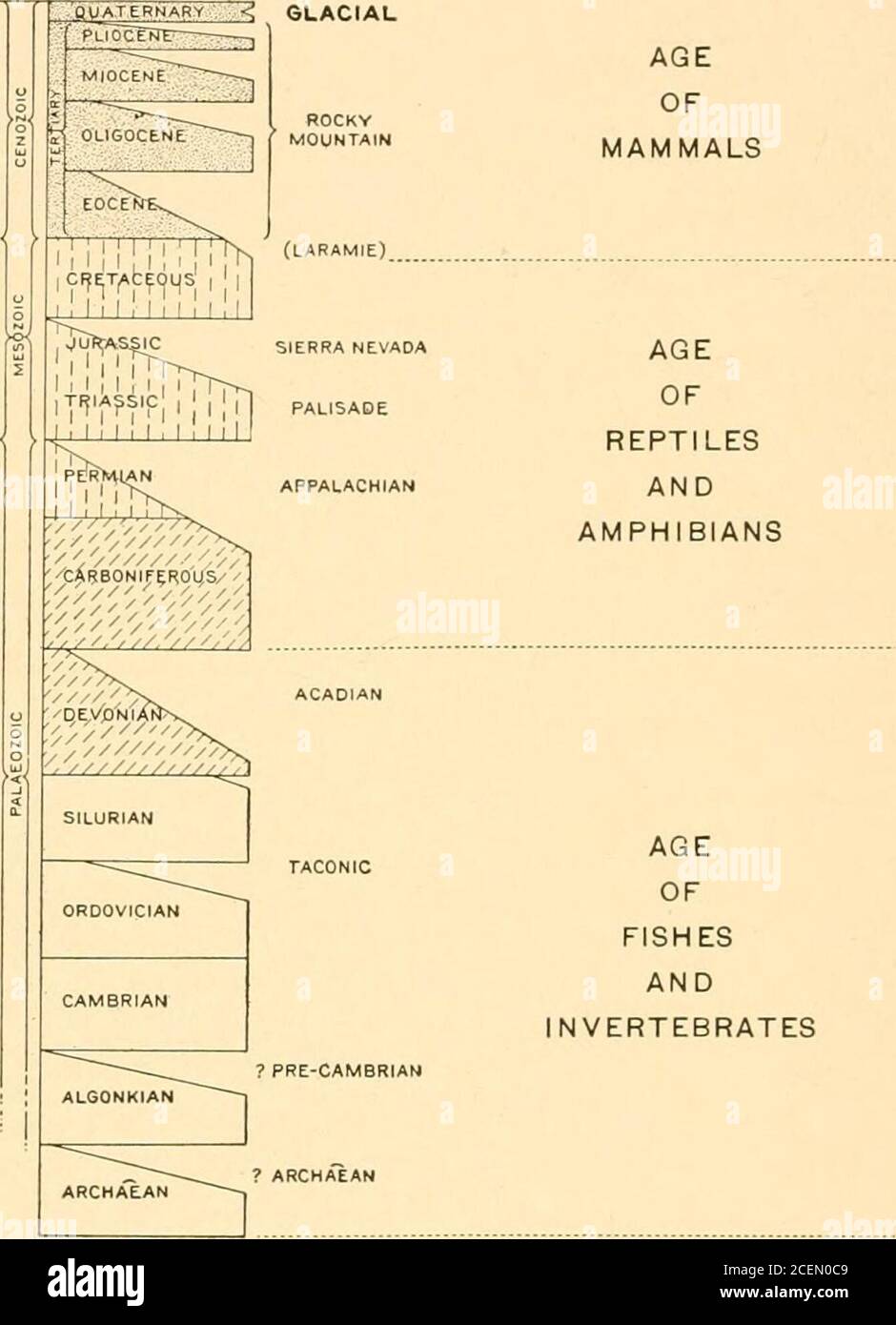 . The origin and evolution of life, on the theory of action, reaction ...