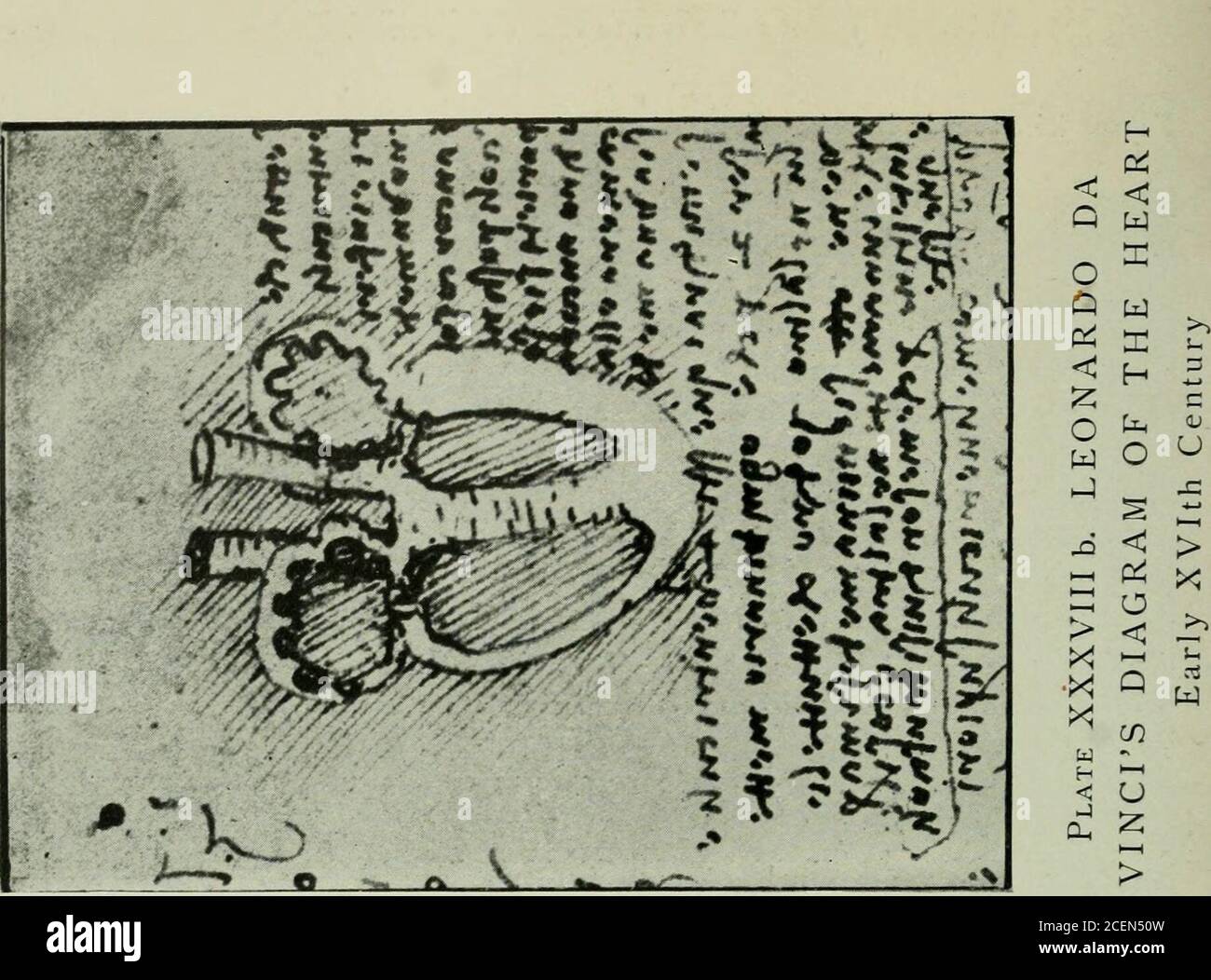 Studies In The History And Method Of Science Plate Xxxvii Giovanni Bentivoglio Ii W Hc U Oq O O Cq Stock Photo Alamy