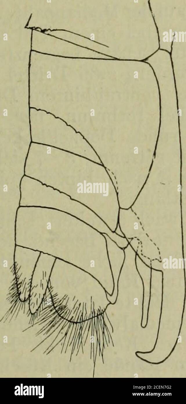 Zwei rost hires stock photography and images Alamy