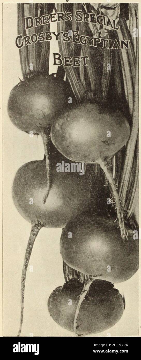 Lima bean in shape hi-res stock photography and images - Alamy