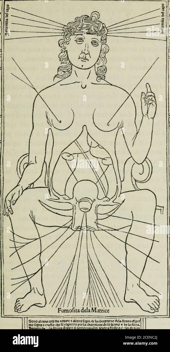Studies in the history and method of science. de Vamateur, nouv. serie,  Paris, 1861, Le maitre auxdauphins, p. 354 et seq. The dolphins are seen on  either side of the chair