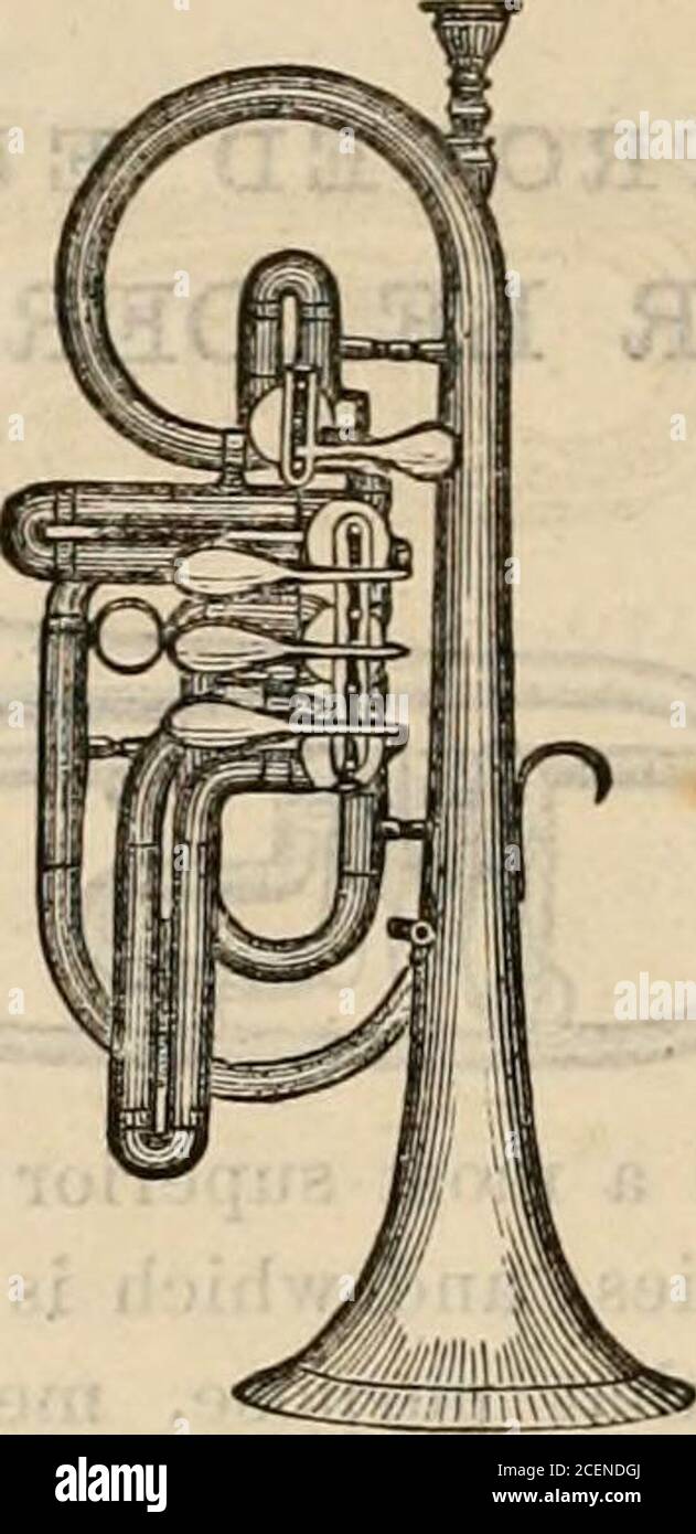 Boston Instruments . Illustrated catalogue of the Boston Musical Instrument Manufactory ...