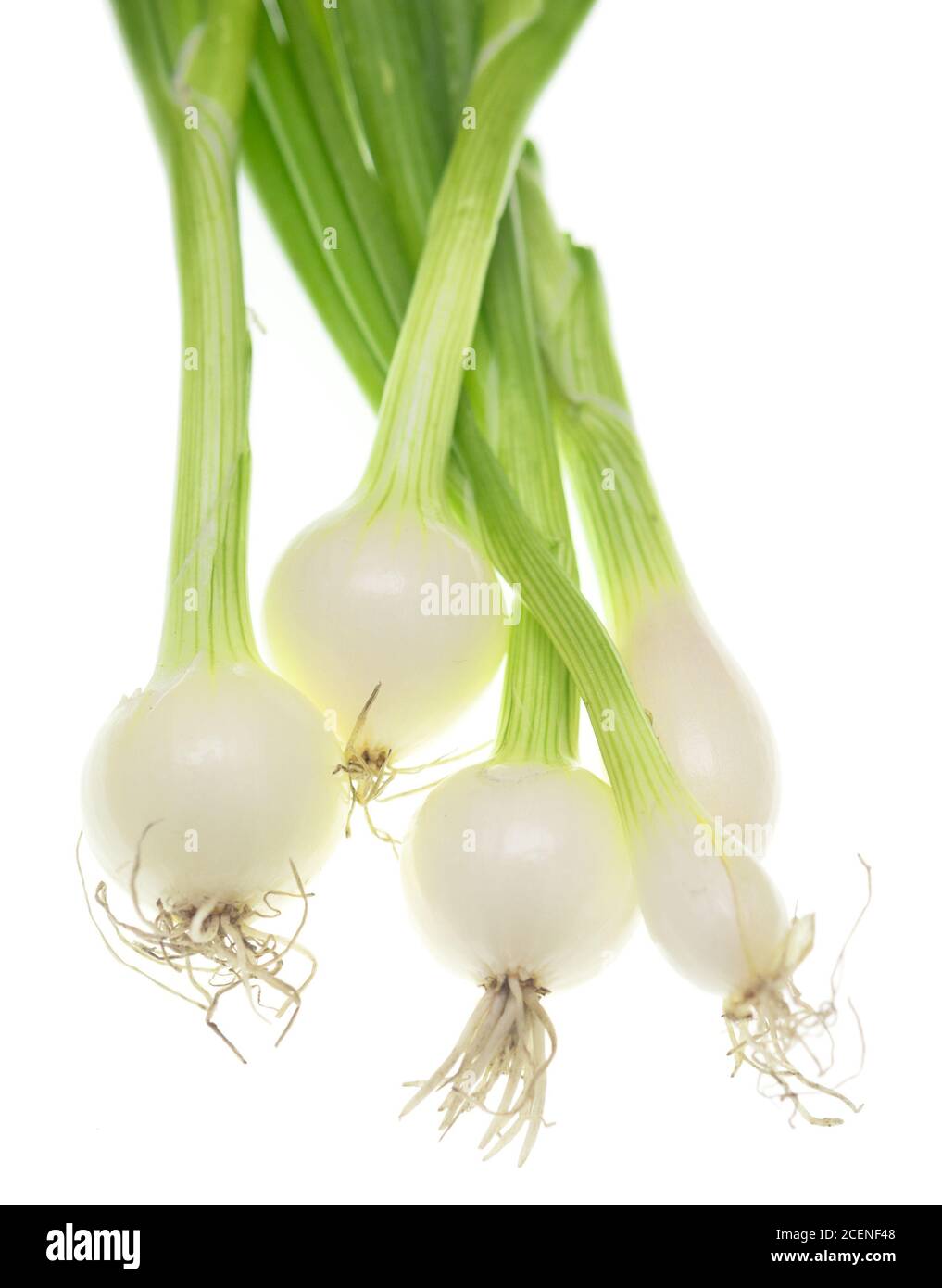 Green onion isolated on white background Stock Photo - Alamy