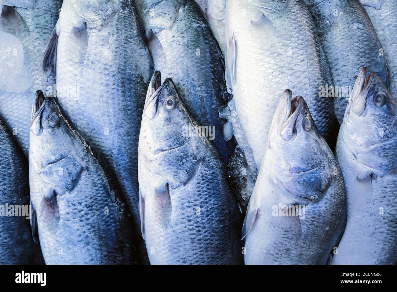 Seafood, Fresh Barramundi Fish in market Stock Photo - Alamy