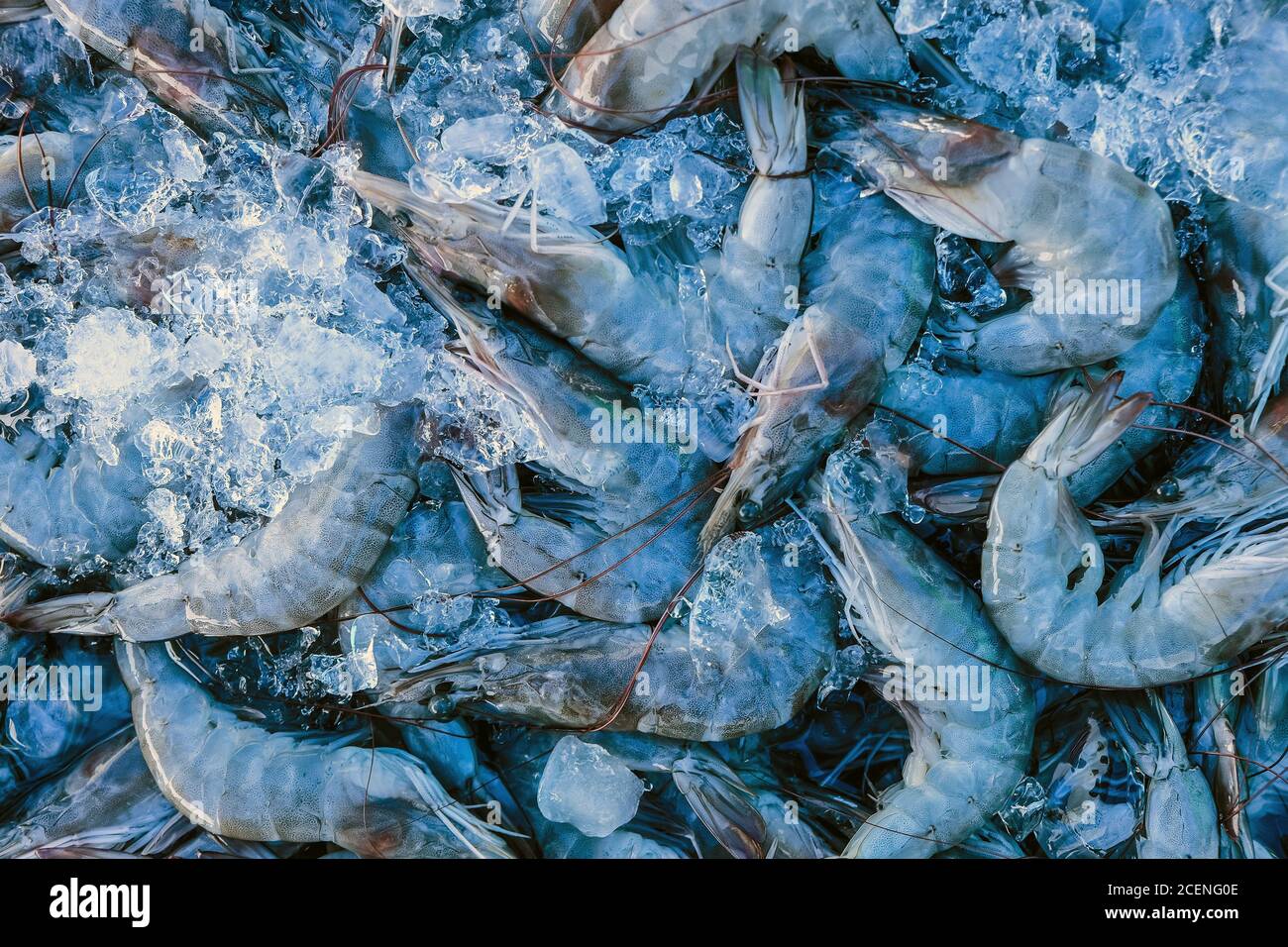 Banana shrimp in the fresh market Stock Photo Alamy