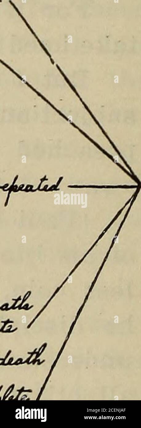 The Bible Companion, For Pastors, Evangelists And Teachers... Butof His  Life Work Being Worthless, Castaway, Value-Less Coin, Mere Wood, Hay And  Stubble, Unlesshe Disciplined His Body. The Clue To The Rightunderstanding