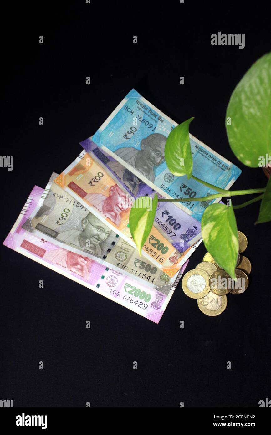 Devil's ivy (Epipremnum aureum) or Money plant leaf with 50, 100, 200, 500, 2000 rupee currency note on black background. Bank note with plant growing Stock Photo