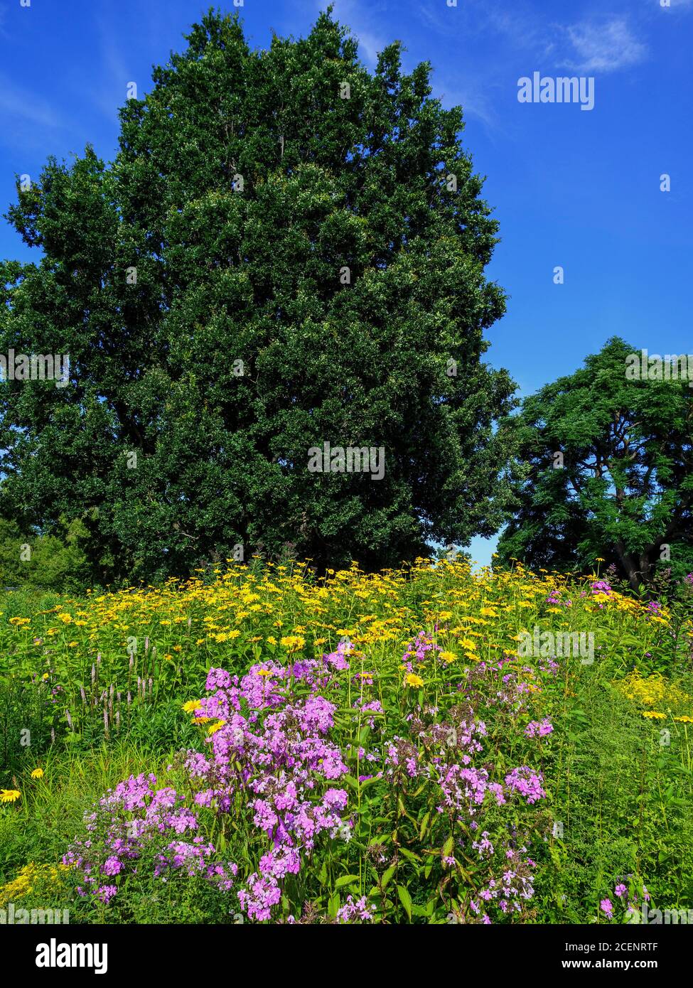 Prariegarten hires stock photography and images Alamy