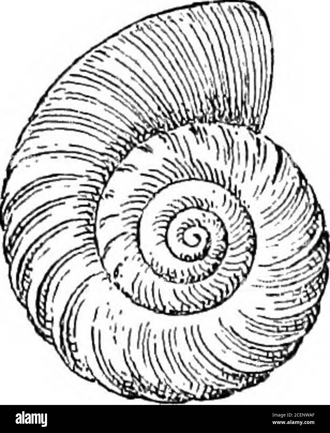 Thin rocks Black and White Stock Photos & Images - Alamy