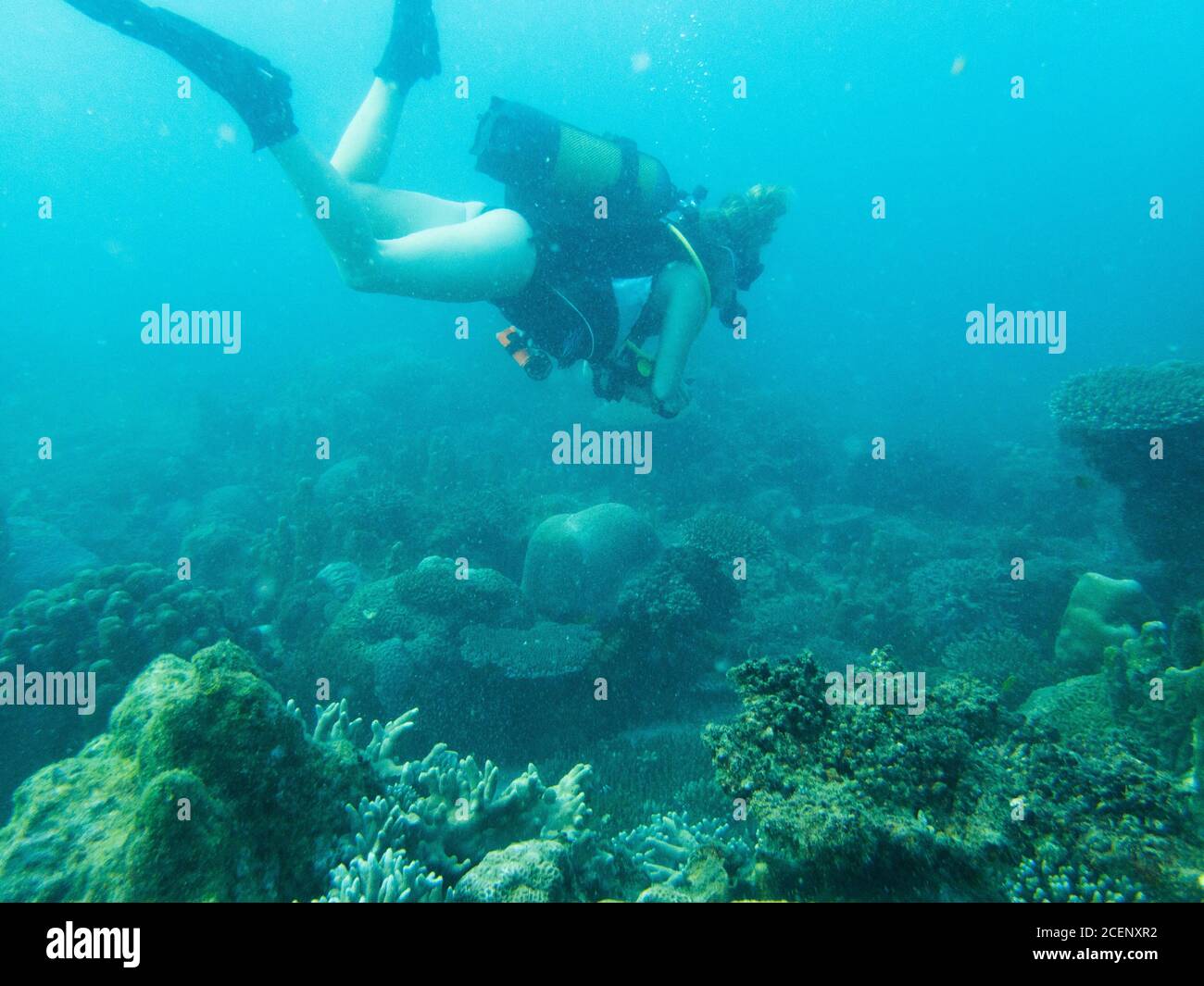 Girl Scuba Diving Madagascar Stock Photo Alamy