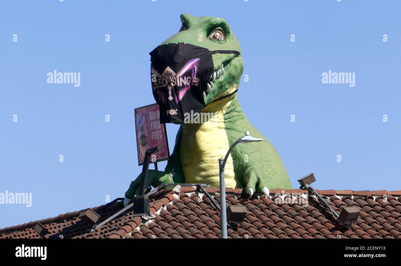 Download Dinosaur Mask High Resolution Stock Photography And Images Alamy PSD Mockup Templates