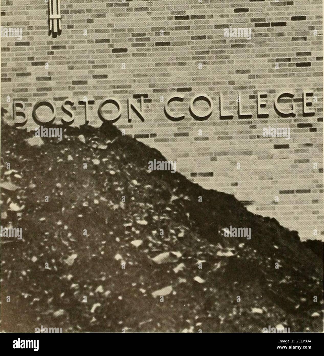 Paula j parker hires stock photography and images Alamy