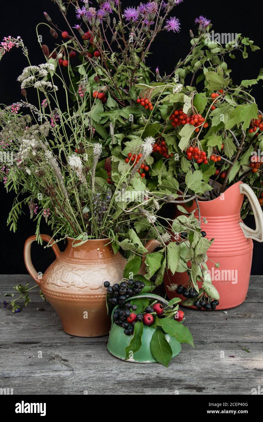 Still life with bouquets of wild berries and field flowers. Stock Photo
