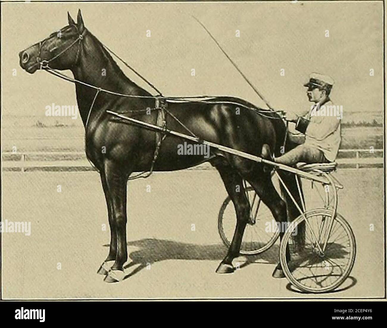 Our domestic animals, their habits, intelligence and usefulness;. Average Extreme Speed 1820 to 1830 1S30 to 1840 : 1840 to 1850 ^ 1850 to i860 i860 to 1870 ^4: Our domestic animals, their habits, intelligence and usefulness;. Average Extreme Speed 1820 to 1830 1S30 to 1840 : 1840 to 1850 ^ 1850 to i860 i860 to 1870 ^4:
