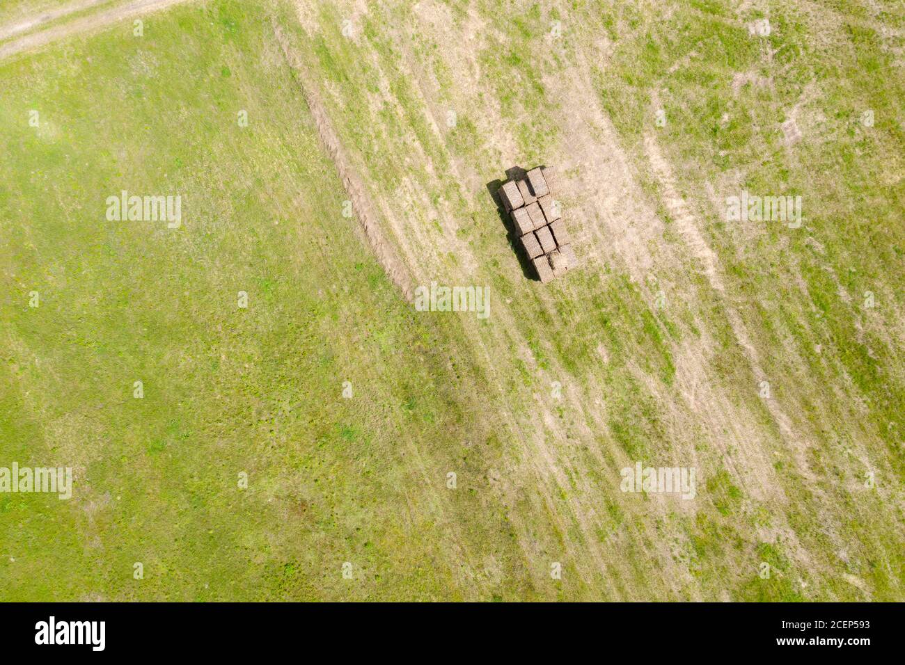 Aerial view farmland sown green hi-res stock photography and images - Alamy
