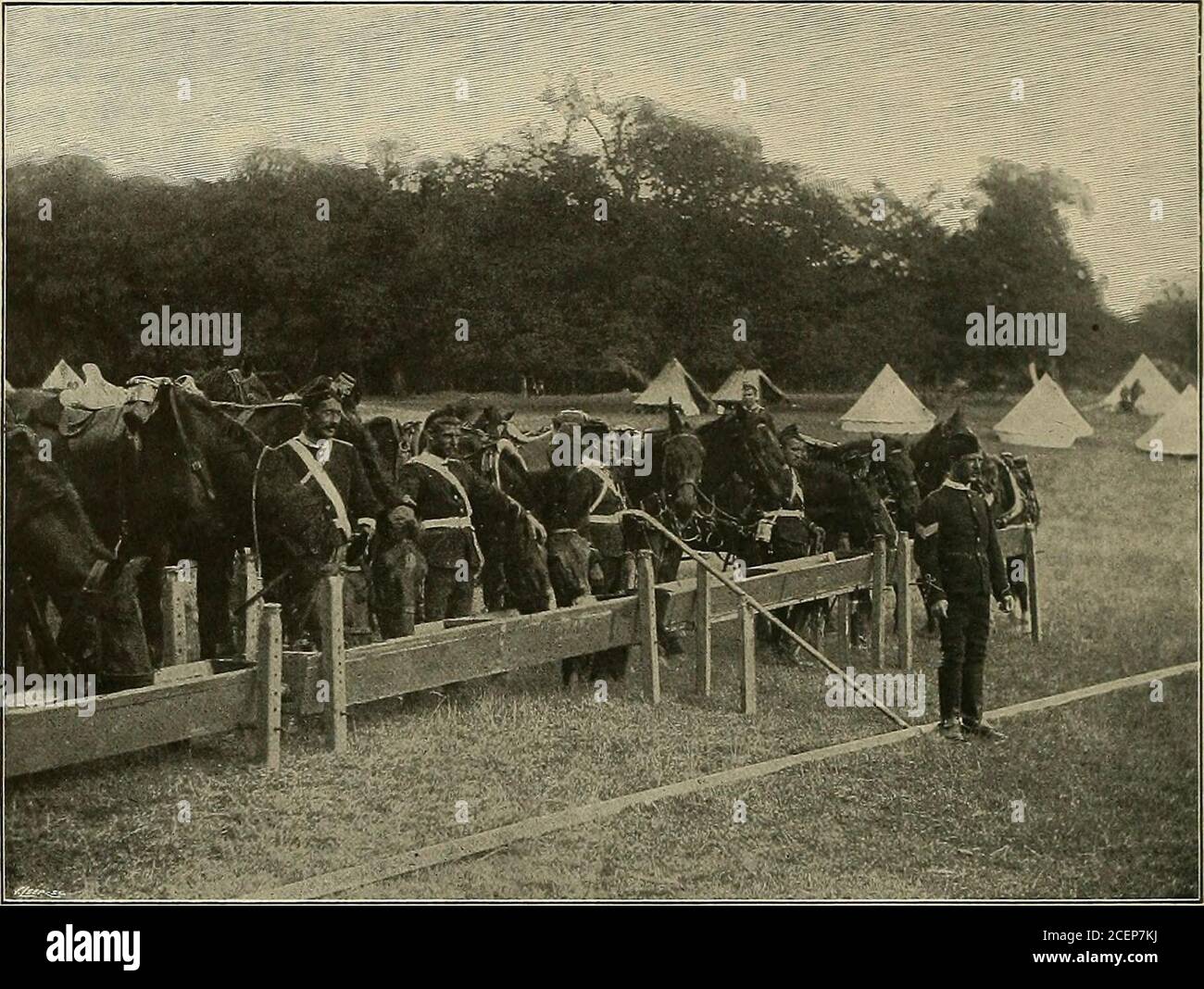 Our Domestic Animals Their Habits Intelligence And Usefulness 140 Our Domestic Animals Horses Of The English Army And Forty Minutes At Full Gallop Across All Sortsof Ground And Over Many Obstacles