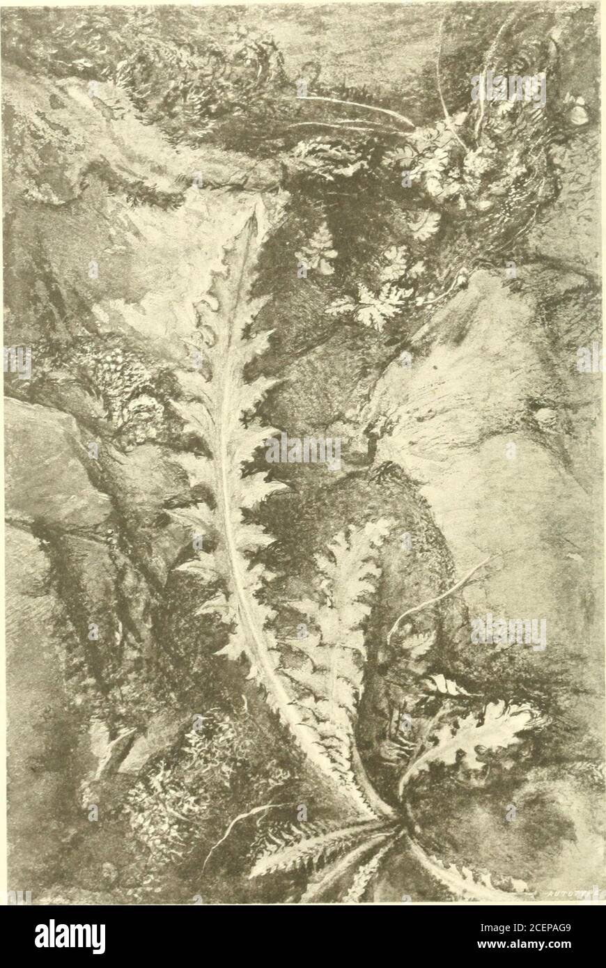 Diagrams john ruskin hi-res stock photography and images - Alamy