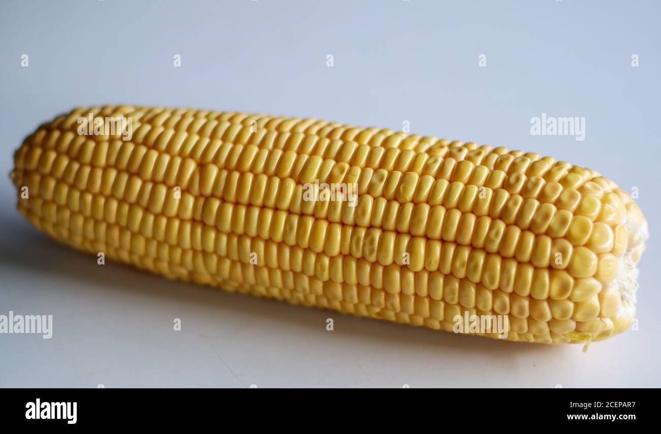 Peeled yellow corn cob on white background. Stock Photo
