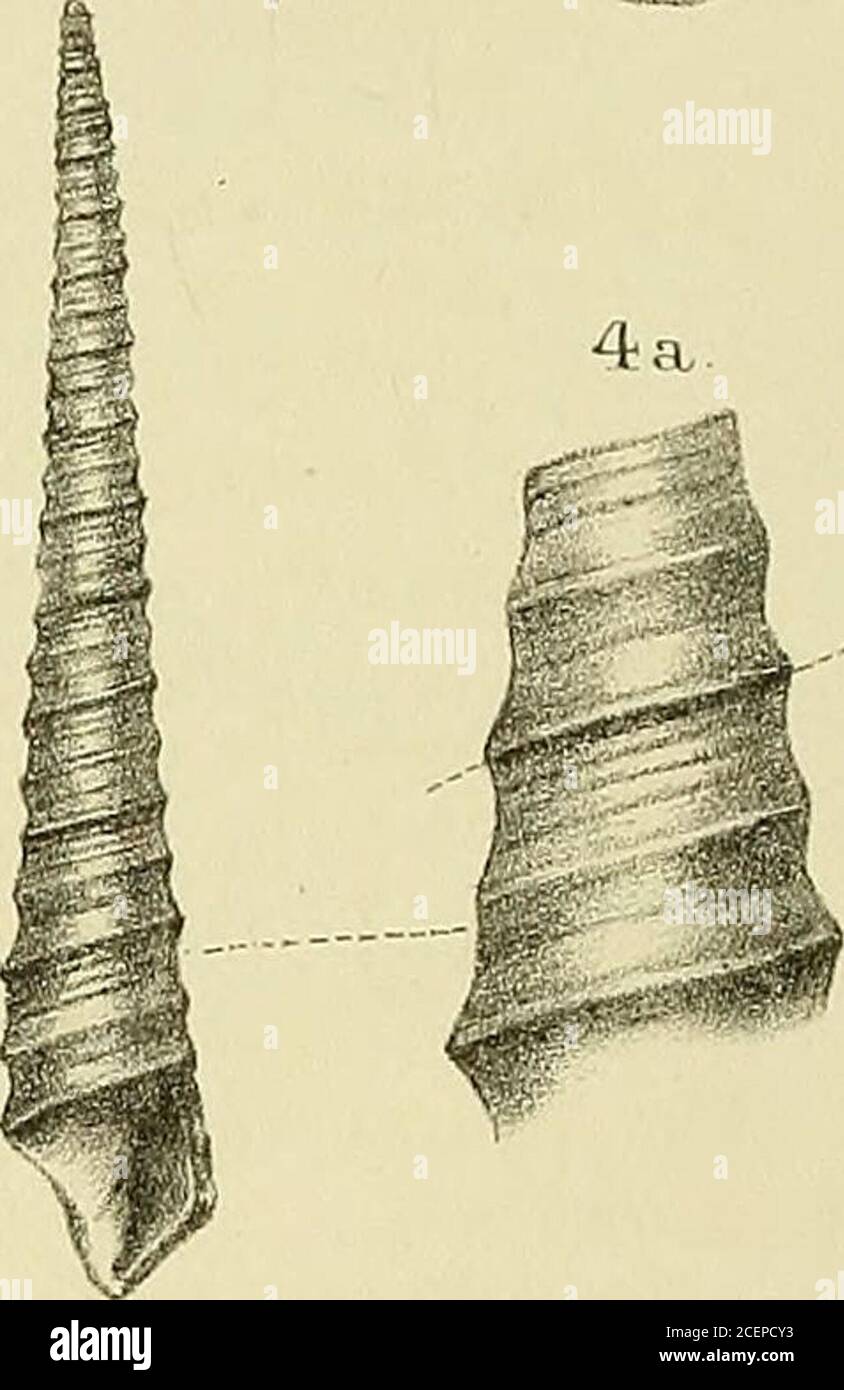 . Geological magazine Stock Photo Alamy