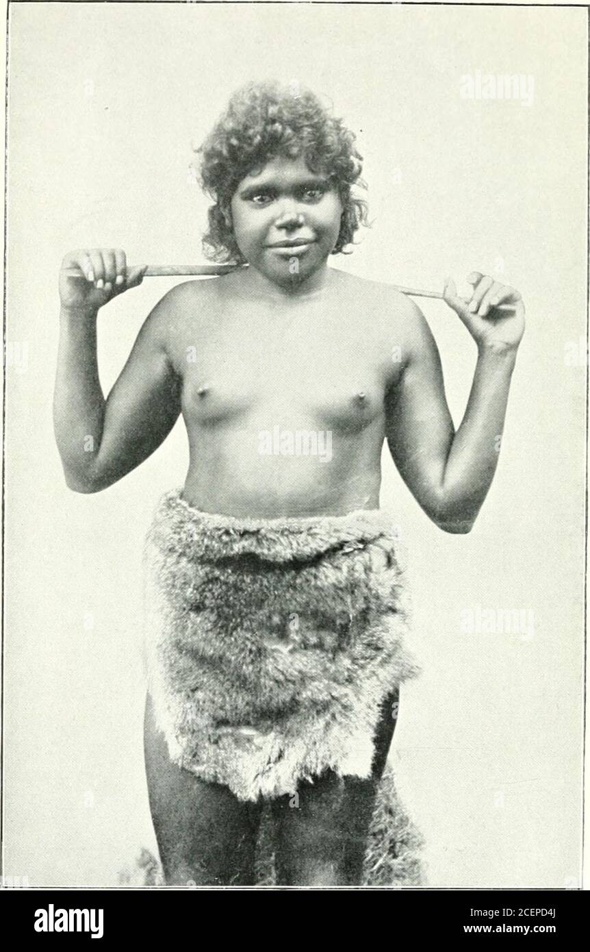 . Natives of Australia. , the simplestand perhaps the commonest form ; she may bebetrothed at, or even, provisionally, before, birth, butthis is usually part of a process of barter; she may beabducted, either from an already existing, or a pro-spective husband, or from her relatives ; or she may beinherited from a brother or tribal kinsman. Even where a bride is acquired by betrothal, thewedding ceremonies are somewhat ungentle, far moreso those where a wife is abducted, possibly against herwill. When the bride is obstreperous, the affiancedhusband is fully justified by the customs of the abor Stock Photo