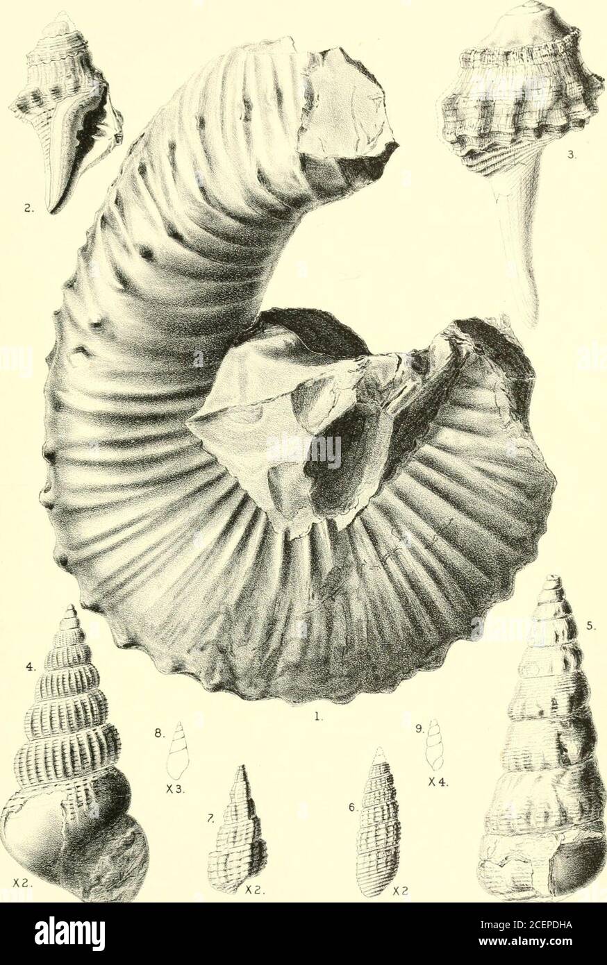 Suciaislands hires stock photography and images Alamy