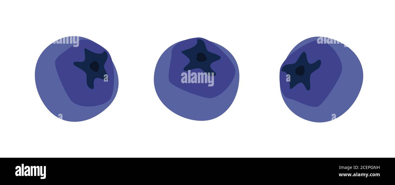 Blueberry. Blueberries set isolated on white background. Bilberry. Vector Stock Vector