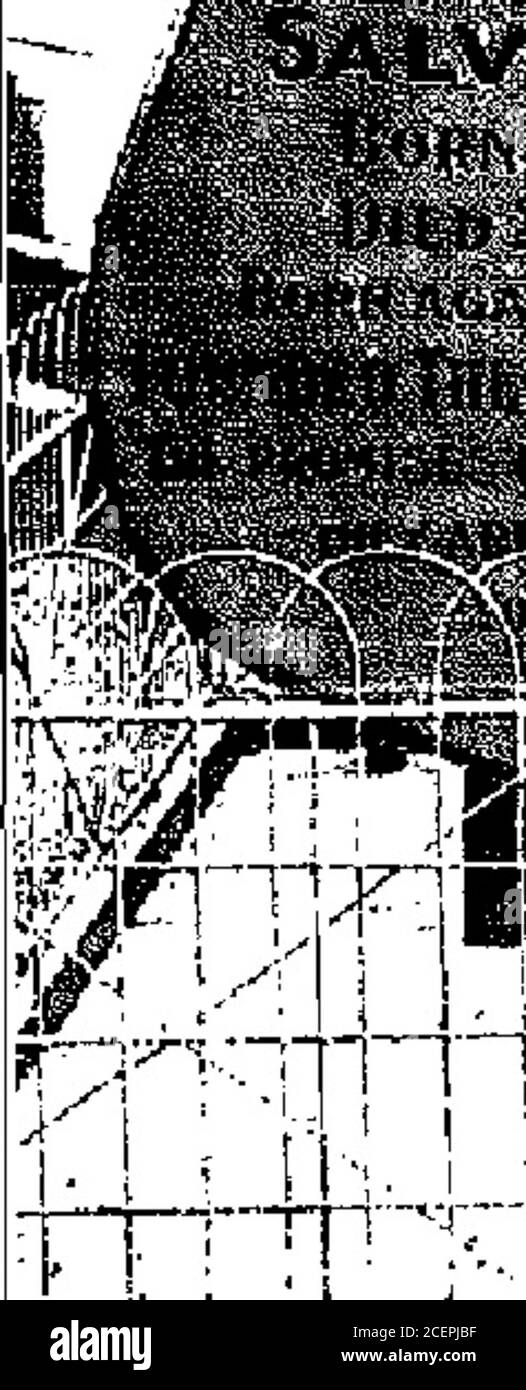 igloo 冰 桶 三 日 鮮