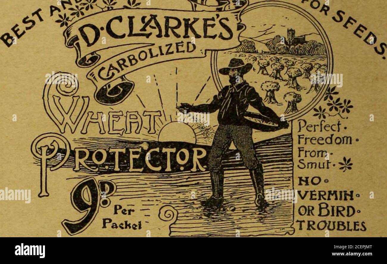 Uroa High Resolution Stock Photography And Images Alamy