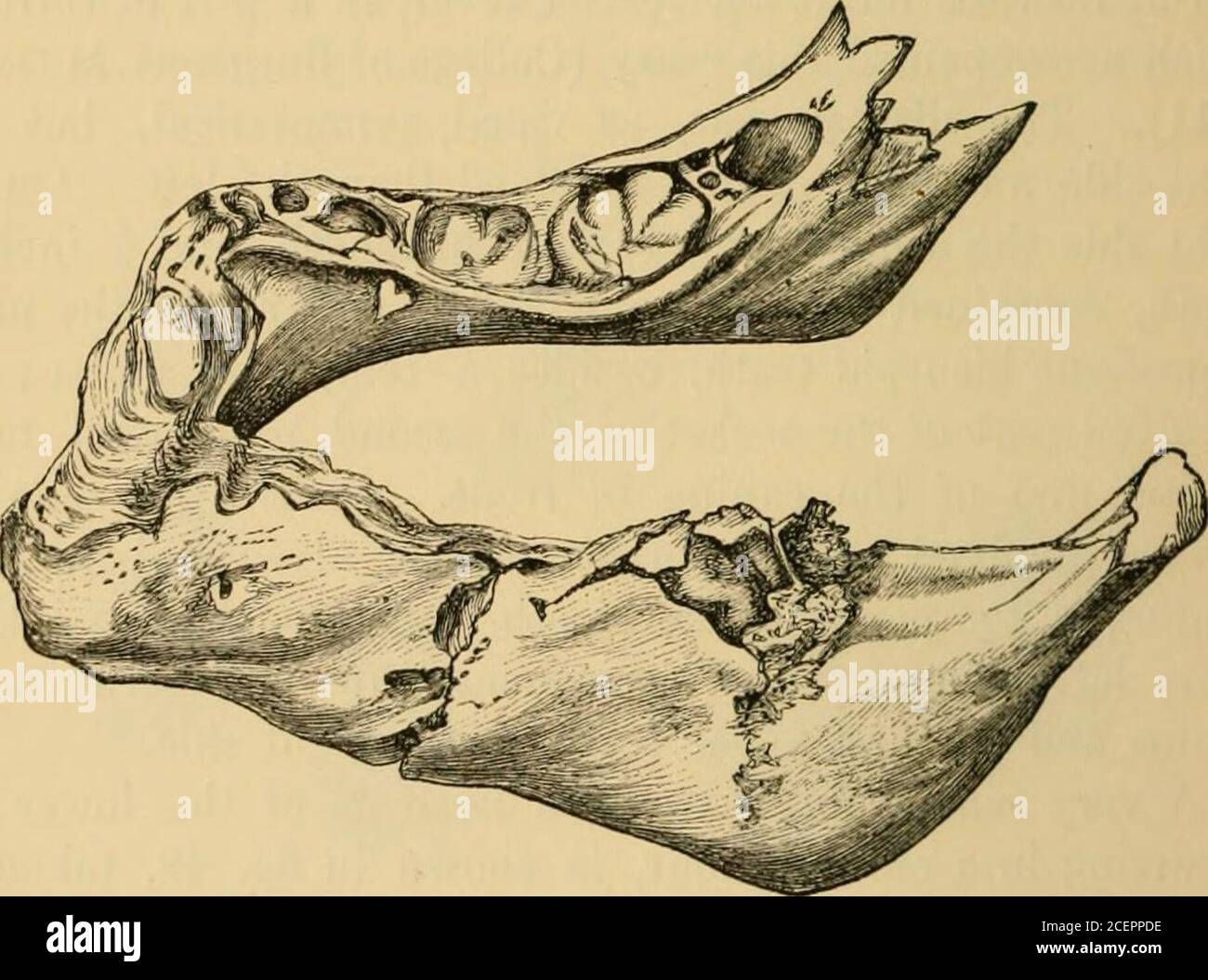 Lucifer matches hires stock photography and images Alamy