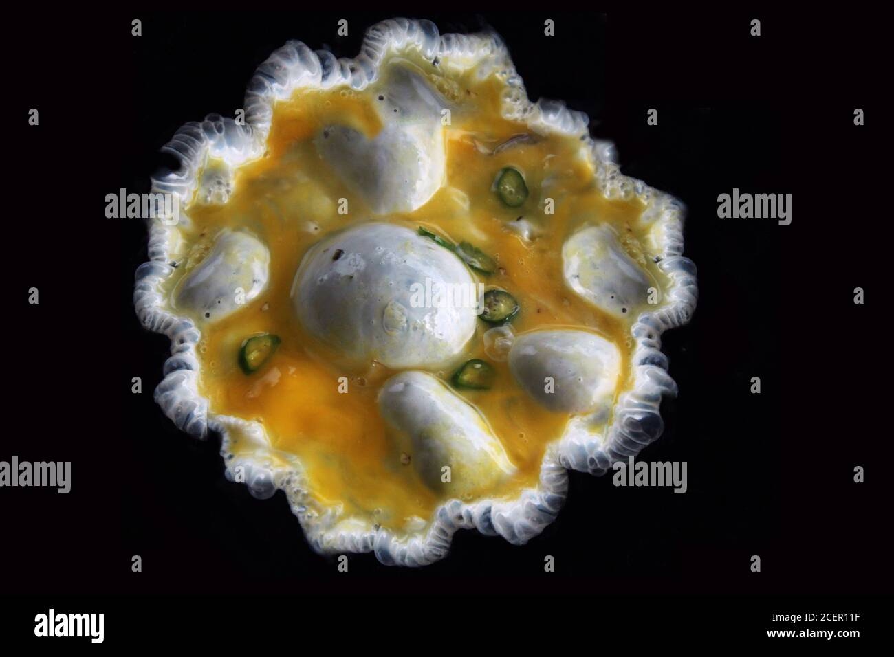 Close-up view of a fried egg in a plate. Khulna, Bangladesh. Stock Photo