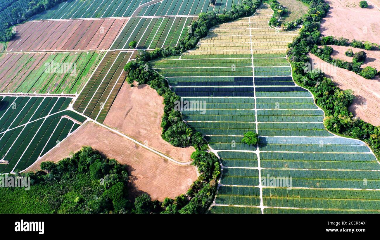 Colourful field and meadow landscape in Costa Rica from above Stock ...