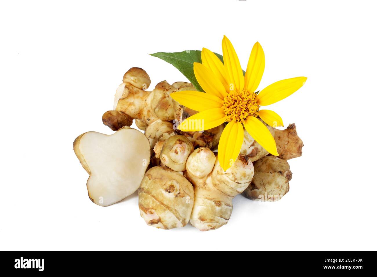 Gorgeous Where Can I Buy Jerusalem Artichoke Picture Art Gorgeous Where Can I Buy Jerusalem Artichoke Picture Art