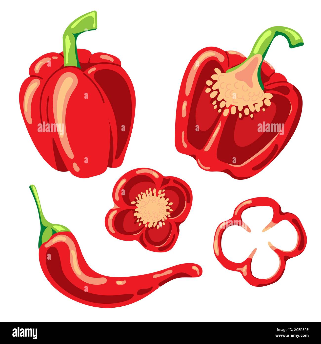 Paprika and Red hot chili pepper on white background. Isolated vector illustration. Stock Vector