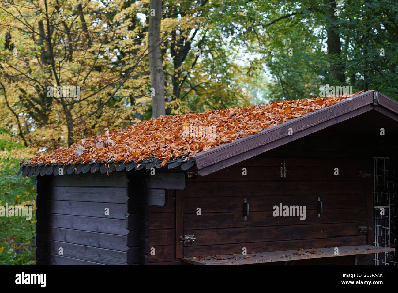 Leaves on a roof of a wooden house Stock Photo - Alamy