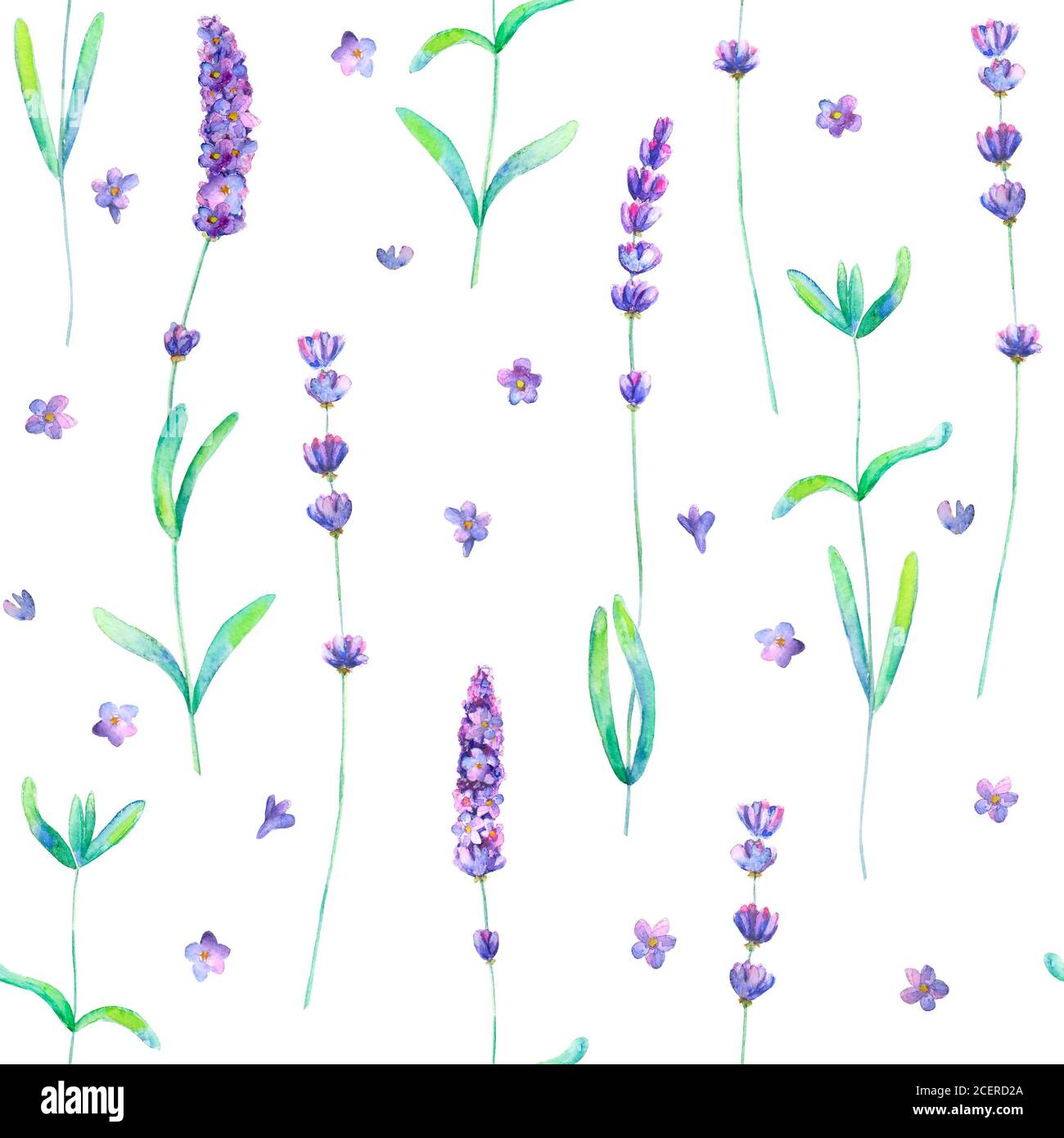 Lavender flowers, leaves and branches watercolor seamless pattern on ...