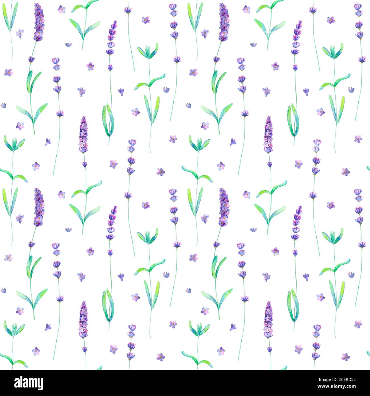 Lavender flowers, leaves and branches watercolor seamless pattern on ...