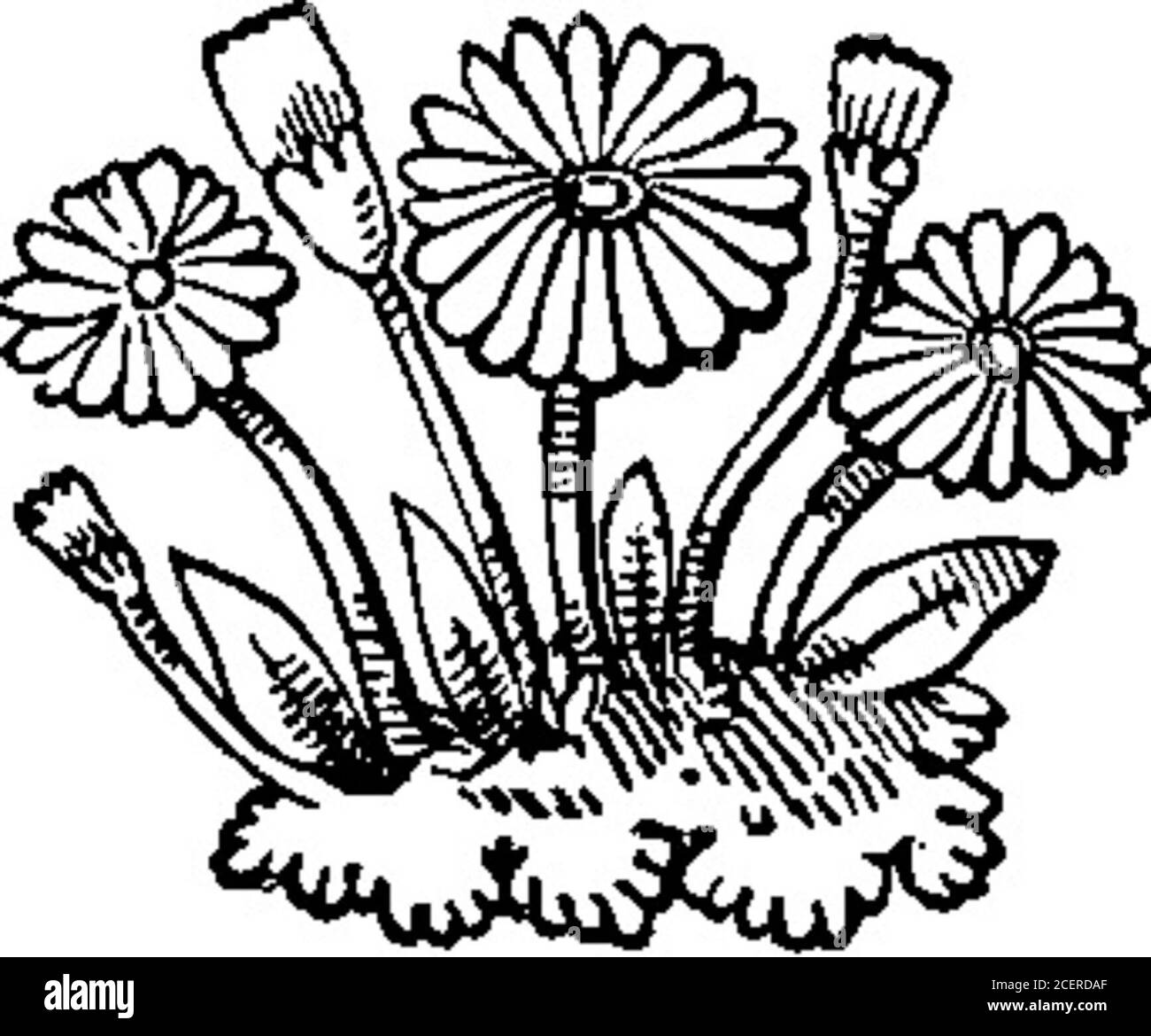 Propounding Cut Out Stock Images & Pictures - Alamy