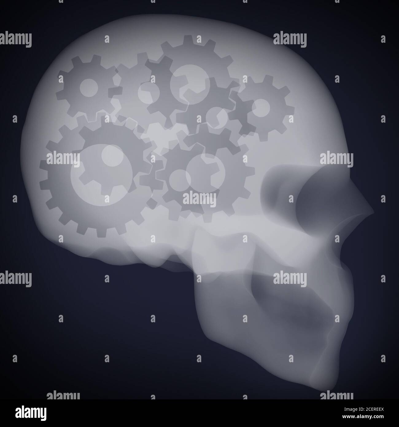 x ray of the gears in human head Stock Photo